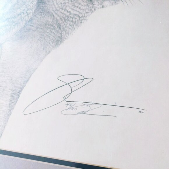 Susan Morrison Coyote Signed & Numbered Print With Gold Metal Frame 1980 - Picture 3 of 8